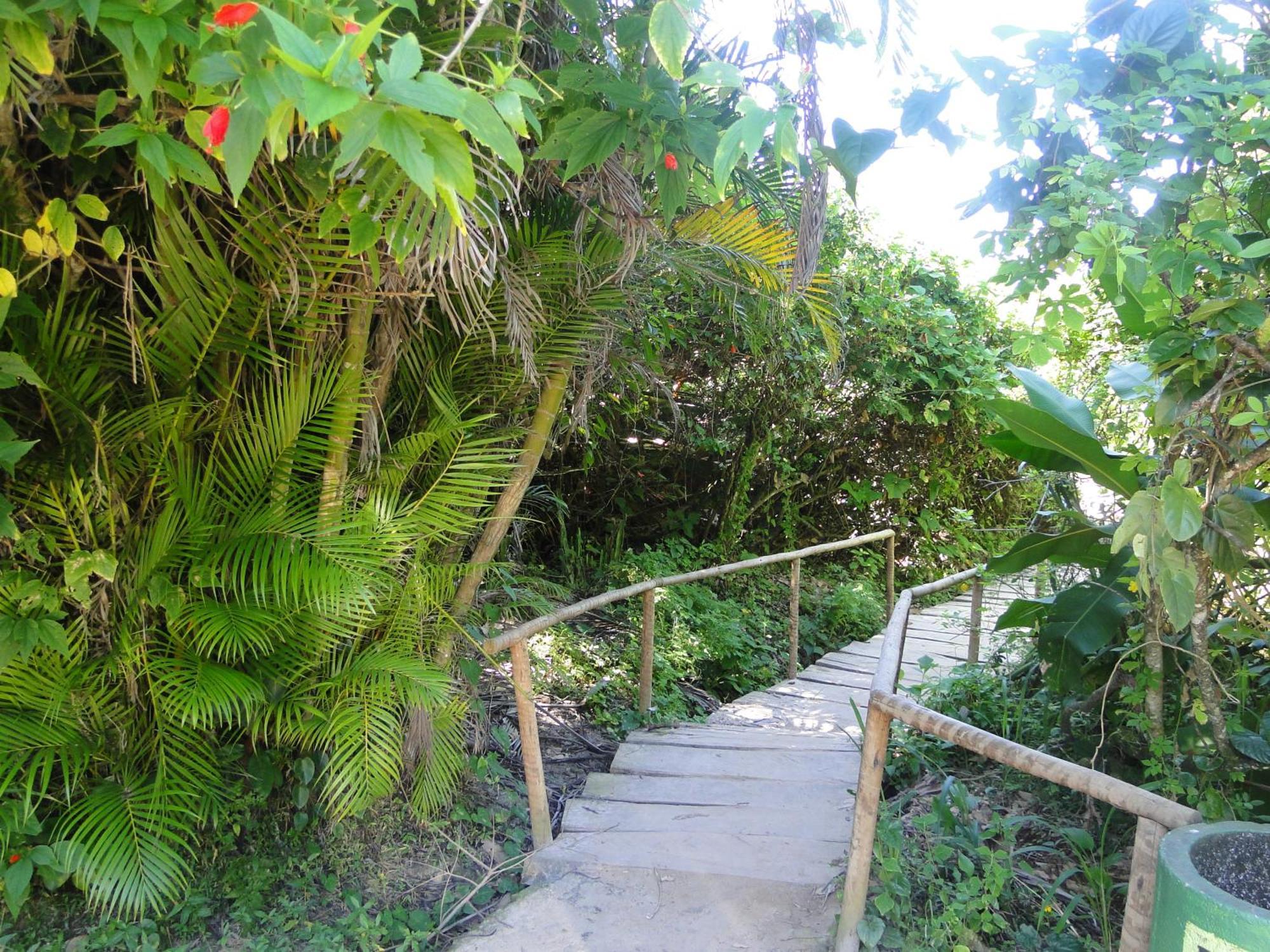Casa na praia de Itamambuca na cidade de Ubatuba Exterior foto